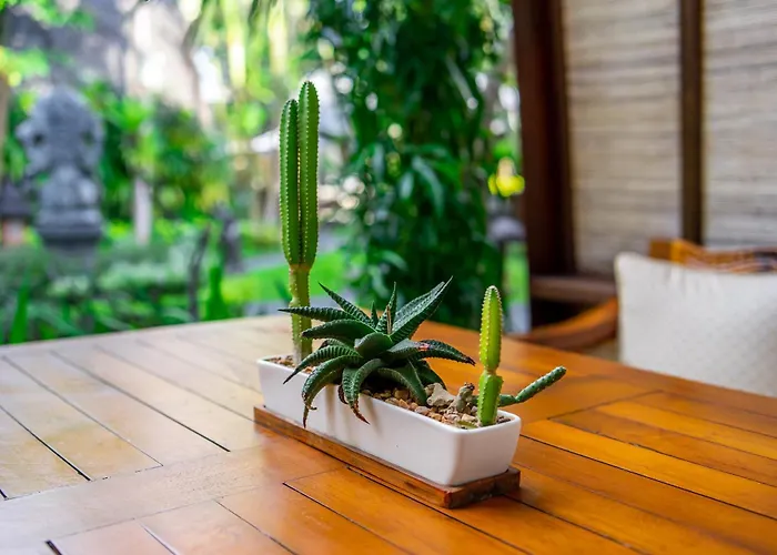Klumpu Bali Resort Sanur (Bali)